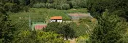 Vista de los viñedos, pistas deportivas y bosque que rodean el Balneario Arnoia