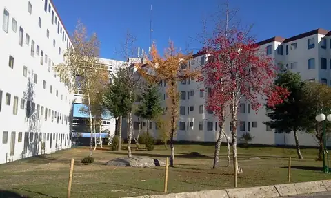 Jardín con árboles otoñales entre los bloques de los Apartamentos Manzaneda